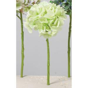 ASCA アスカ ハイドランジア (A-34546-052B)【入数:24】