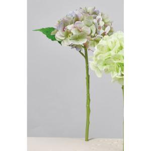 ASCA アスカ ハイドランジア (A-34546-051P)【入数:24】