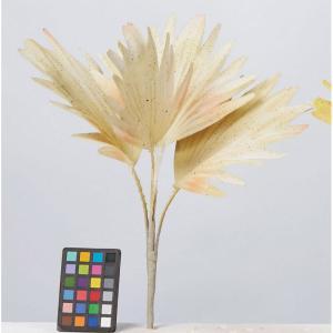 ASCA アスカ パームリーフピック (A-44154-008)【入数:24】