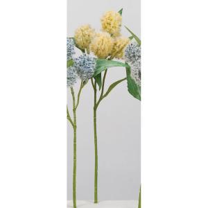 ASCA アスカ アザミX5 (A-34528-010)【入数:36】