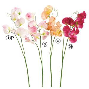 ASCAアスカスイトピーX8