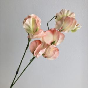 ASCAアスカスイトピーX8