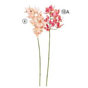 ASCA アスカ ミニオーキッドX11 (A-34612-013A)【入数:24】