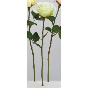 ASCA アスカ ローズ (A-34616-052)【入数:24】