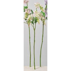 ASCA アスカ ウィステリア(ナツフジ)×4 (A-34491-003T)【入数:24】