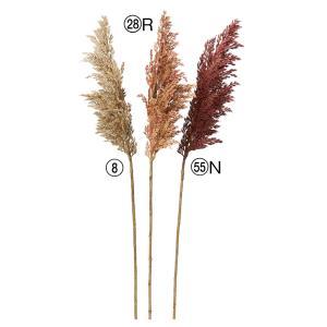 ASCA アスカ ソルガム (A-44252-055N)【入数:12】