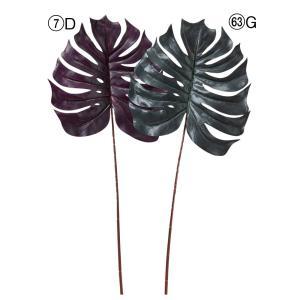 ASCA アスカ モンステラ (A-44259-063G)【入数:12】