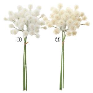 ASCA ������ �ݥ�ݥ�Х��(1«3��) (A-34637-011)������:24��