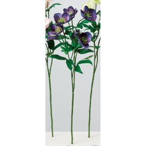 ASCA アスカ クリスマスローズX7 つぼみX2 (A-34635-009P)【入数:12】