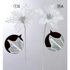 ASCAアスカポインセチア