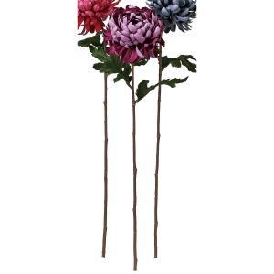 ASCA アスカ マム (A-73430-007)【入数:12】