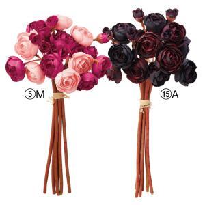 ASCA ������ ��ʥ󥭥�饹X24(1«6��) (A-34797-015A)������:24��