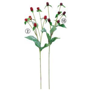 ASCA アスカ センニチコウX6 (A-34817-015)【入数:24】