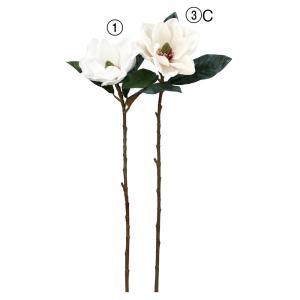 ASCA アスカ マグノリア (A-34818-003C)【入数:12】