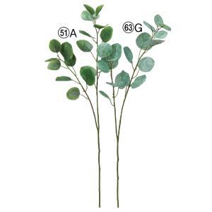 ASCA アスカ ユーカリ (A-44418-063G)【入数:24】