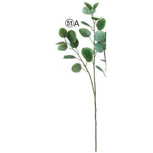 ASCA アスカ ユーカリ (A-44418-051A)【入数:24】