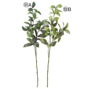 ASCA アスカ リーフスプレー (A-44423-052B)【入数:12】