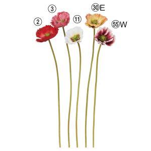 ASCA アスカ ポピー (A-34828-055W)【入数:48】