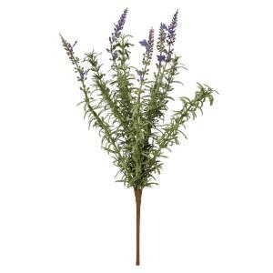 ASCA アスカ ラベンダーブッシュ (A-34831-006)【入数:24】