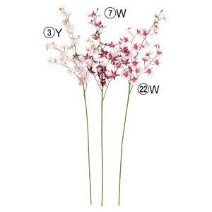 ASCA アスカ オンシジュームX32 (A-34836-022W)【入数:36】