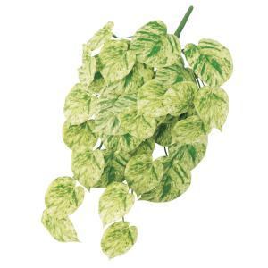 ASCA アスカ ポトスハンギングブッシュ (A-44442-053A)【入数:12】