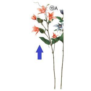 ASCA アスカ クレマチスX5 つぼみXX3 (A-34846-013A)【入数:12】