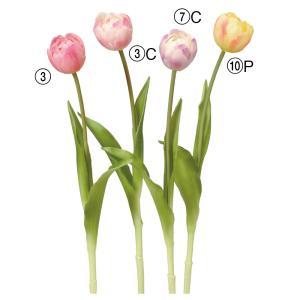 ASCA アスカ チューリップ (A-34849-010P)【入数:24】