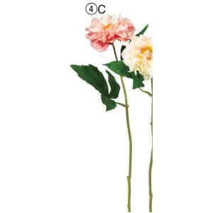 Yellow, Orange - ASCA アスカ ダリア (A-34850-004C)【入数:24】