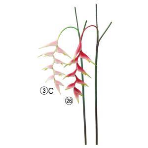 ASCA アスカ ヘリコニア (A-34859-026)【入数:12】