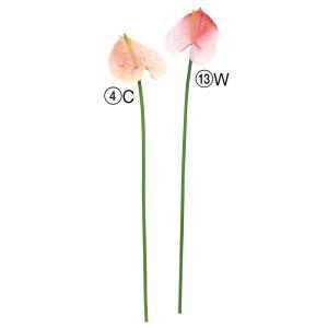 ASCA アスカ アンスリウム (A-34890-013W)【入数:12】