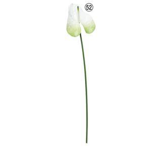 ASCA アスカ アンスリウム (A-34891-052)【入数:12】