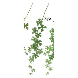 ASCA アスカ ミニシサスアイビーバイン (A-44482-051V)【入数:24】