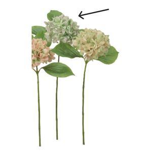 ASCA アスカ ハイドランジア (A-34902-052)【入数:12】