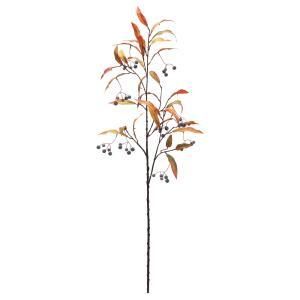 ASCA アスカ ベリーリーフスプレー (A-48010-051G)【入数:12】