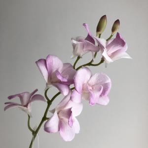 ASCA アスカ ミニオーキッド×6 つぼみ×2 (A-34950-016)【入数:24】