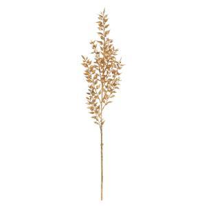 ASCA アスカ ラスカス (A-44532-040)【入数:12】