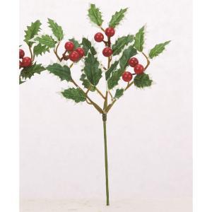 ASCA アスカ ホーリーピック (AX60558-051V)【入数:36】