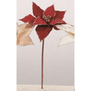 ASCA アスカ ポインセチア (AX60615-015)【入数:12】