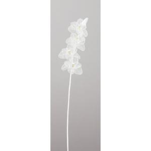 ASCA アスカ シフォンシンビジューム(ラメ付) (AX60633-000)【入数:12】