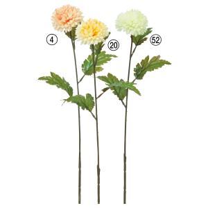 ASCA アスカ ポンポンマム (A-73432-004)【入数:12】