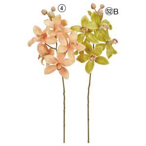 Rakuten - ASCA アスカ シンビジューム×6 つぼみ×3 (A-73434-004)【入数:8】