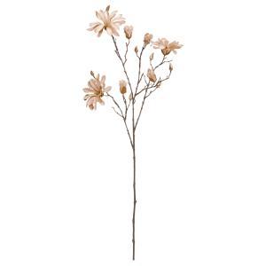 ASCA アスカ ベルベットマグノリア×3 つぼみ×11 (A-73444-027)【入数:12】