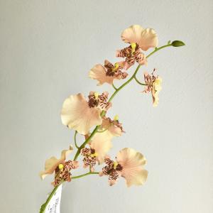 ASCA アスカ オンシジューム×9 つぼみ×3 (A-34987-030B)【入数:36】