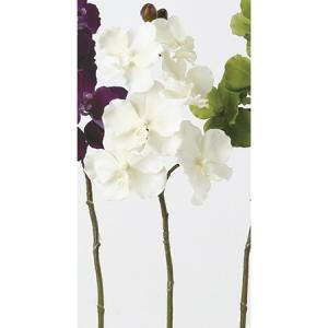 ASCA アスカ ベルベットバンダオーキッド×6 つぼみ×3 (A-32308-011)【入数:12】