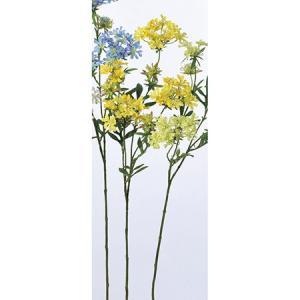 Yellow, Orange - ASCA アスカ クイーンアンズレース (A-32805-010)【入数:12】