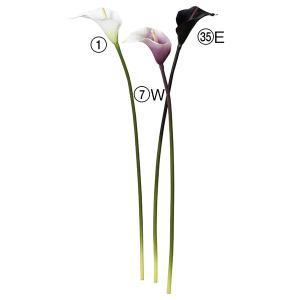 ASCA アスカ カラーリリィ (A-34082-001)【入数:12】