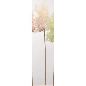 ASCA アスカ スモークツリー (A-43619-008)【入数:6】