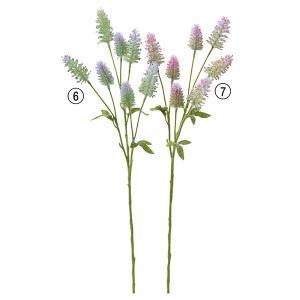 ASCA アスカ シャグマハギX7 (A-34183-006)【入数:12】