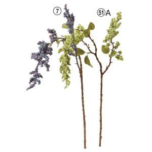 ASCA アスカ ベリースプレー (A-47934-007)【入数:24】