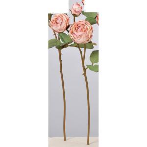 ASCA アスカ ローズX2 つぼみX1 (A-34216-003)【入数:12】